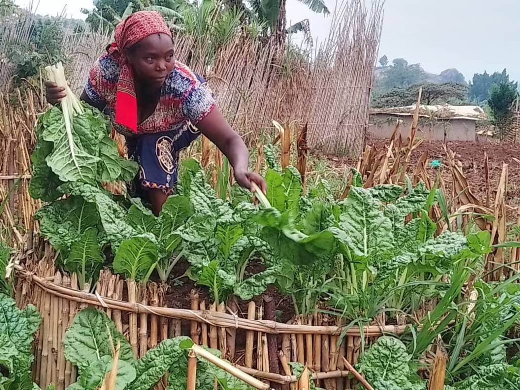 How JESE is Promoting  Nutrition in Rwenzori