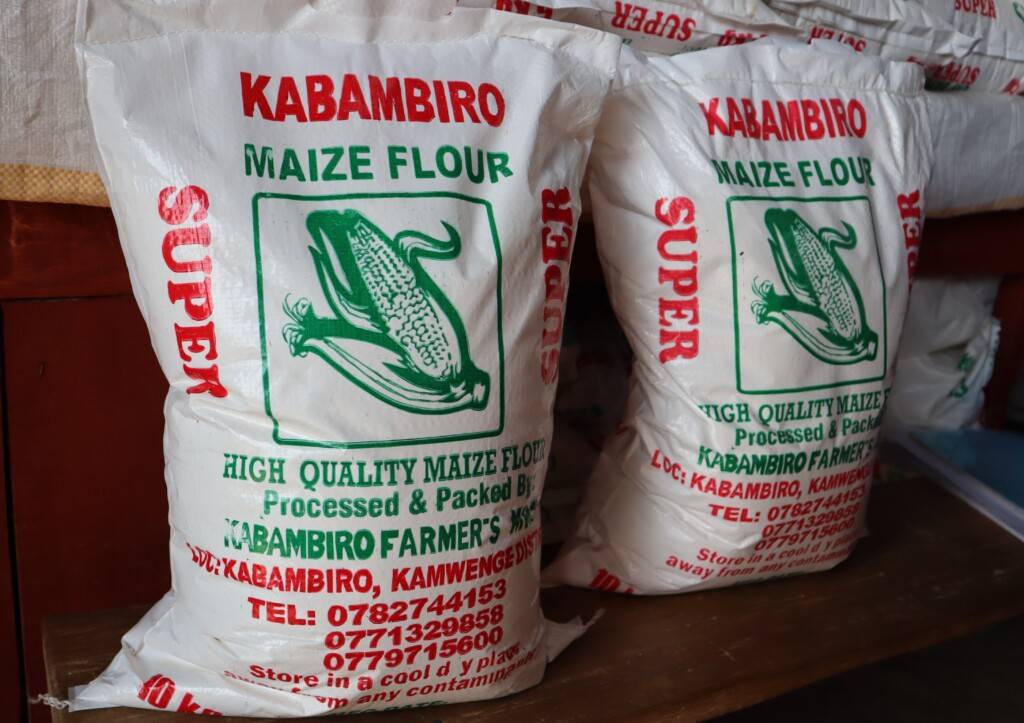 JESE Supports Kabambiro Farmers to Start Maize Milling Factory