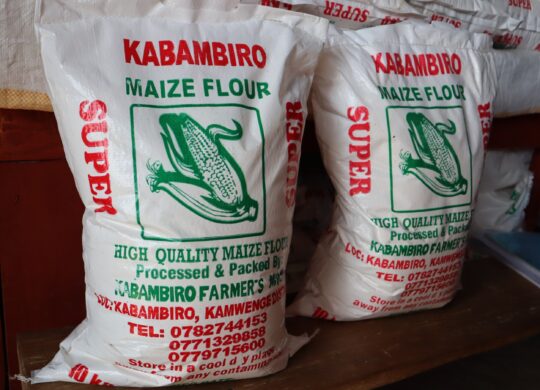 Parked maize flour that is processed by Kabambiro farmers