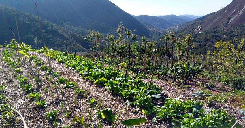 agroecology-definition