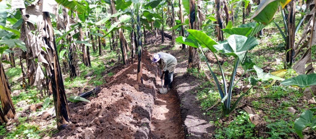 Soil and water conservation activity