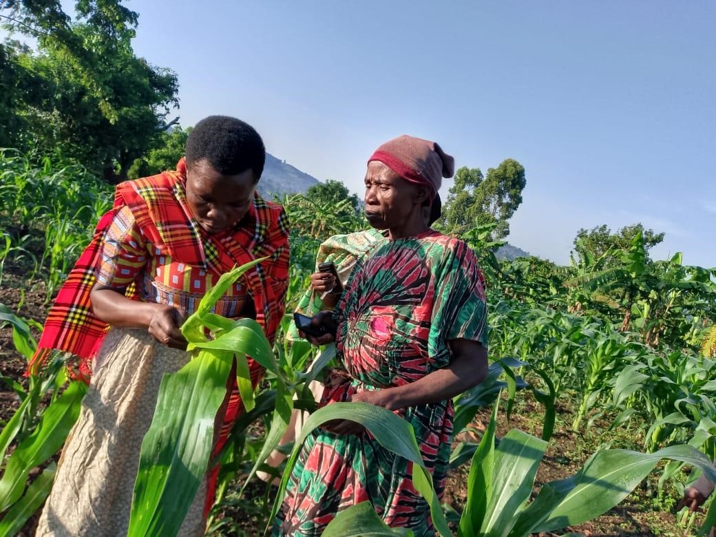 Women farmers participating in coffee project