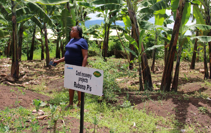 Showing some of the cost recovery projects in Rubona and Kaburaisoke Hill Primary Schools.